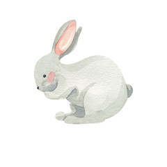 Watercolor rabbit illustration