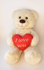 Cute teddy beige bear sitting on a white background.