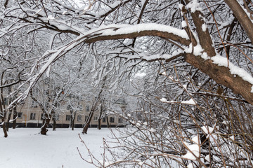 Winter fairy tale, snow-covered winter park