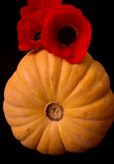 pumpkin with red poppies