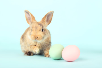 Fototapeta na wymiar Bunny rabbit with easter eggs on blue background