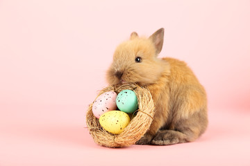 Bunny rabbit with easter eggs in basket on pink background
