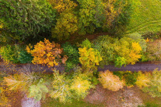 Germany, Bavaria, Upper Bavaria, Toelzer Land, Konigsdorf, Aerial view of Autumn forest and footpath