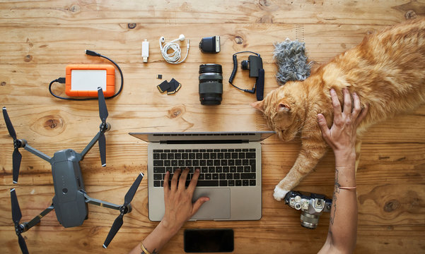 Person sitting at table with photografic equipment and ginger cat, using laptop, overhead view