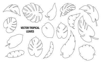 Tropical Leaves Vector Collection
