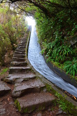 Fototapeta premium Madeira Levada