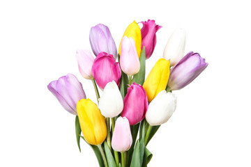 Bouquet of tulip flowers on white background