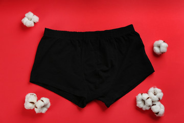 Men's underwear and cotton flowers on red background, flat lay