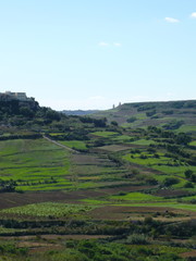 Fototapeta na wymiar Gozo green valley with terracing, hilltop housing, skyline church tower cleaving blue sky