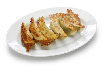 yaki gyoza, potstickers, japanese style pan fried dumplings