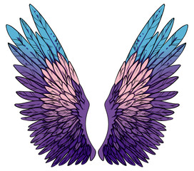 Beautiful magic colorful violet pink blue wings, vector