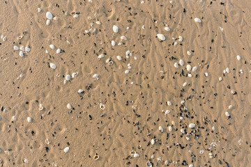 Sand Natural Pattern. The texture of the beach after the storm.