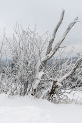 Winterlandschaft