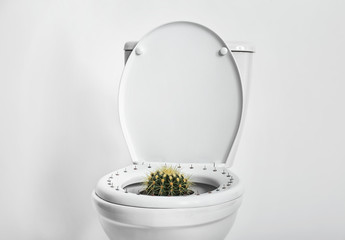 Toilet bowl with pins and cactus on white background. Hemorrhoids concept