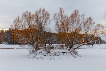 View of trees covered with snow located in the city Park. Moscow, Russia.