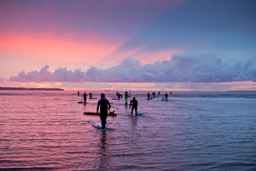 Fototapeta premium Sappersurfs sail in the sunset on the Baltic Sea