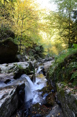 Pesenbachtal in the Mühlviertel region in Upper Austria