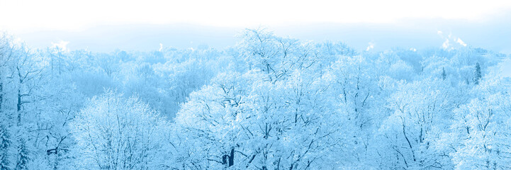winter landscape with first snow