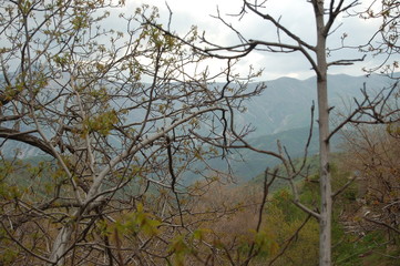 View into the mountains in Hawraman through trees