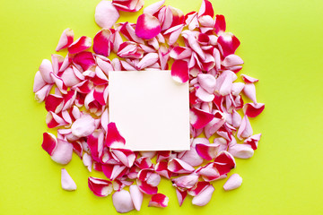 Bright green background with red rose petals and a square space in the center to add text. View from above. Background for Valentine's Day and Women's Day