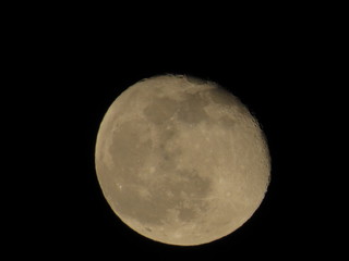 Awesome full moon. Night of wolf, Halloween night, nightmare.