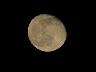 Awesome full moon. Night of wolf, Halloween night, nightmare.