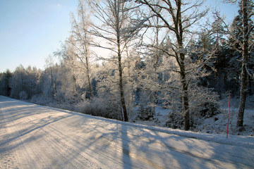 Obraz premium Sweden's nature in the winter months