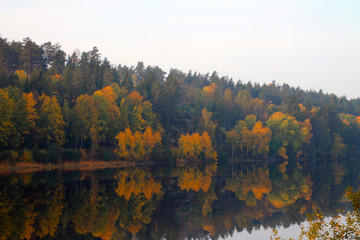 Obraz premium Mirror image of a forest with autumn colors