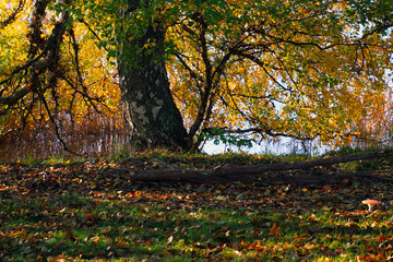 Picture showing how beautiful Swedish nature is.