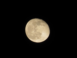 Awesome full moon. Night of wolf, Halloween night, nightmare.