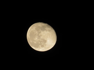 Awesome full moon. Night of wolf, Halloween night, nightmare.