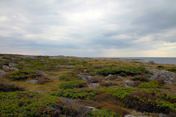 A bit of coast at the village BUA in Sweden