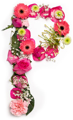 letter P in flower alphabet, real flower abc, pink, red, yellow and white