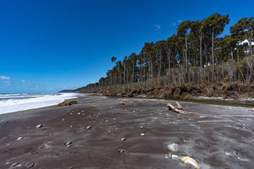 Bruce Bay, New Zealand