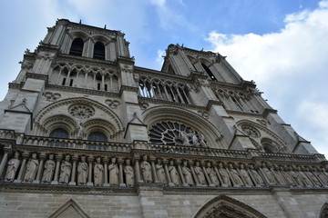 Fototapeta premium notre dame paris
