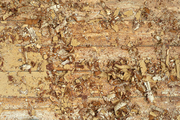 Cracked floors from old boards, paint stripping. Floor restoration-2