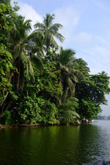 Fototapeta na wymiar A river landscape, surrounded by tropical forest. sri lanka