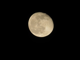 Concept of a spooky theme and mystery. Canon Powershot540