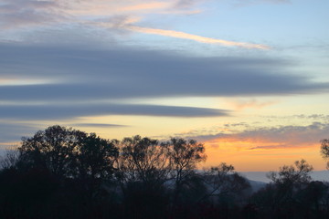 Naklejka na ściany i meble Sunset with trees silhouette, blue sky and gray clouds.