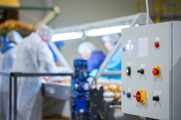 Device control panel of conveyor sorting line. Production facilities for grading, packing and...