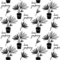 Materiał do szycia Tropical date leaves pattern and background. Home plant in a flower pot. Home gardening is a hobby. Exotic plants in the home interior.1