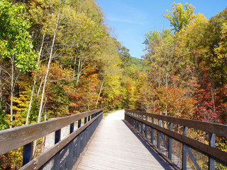 Fototapeta na wymiar Great Allegheny Passage Trail in Ohiopyle State Park, Pennsylvania