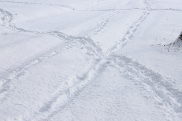 Obraz premium Human footprints in the fresh snow. Traces of people intersect. Beautiful sunny day, fresh snow.