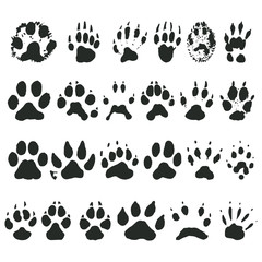 Animal foot prints icons set on white background for graphic and web design, Modern simple vector sign. Internet concept. Trendy symbol for website design web button or mobile app