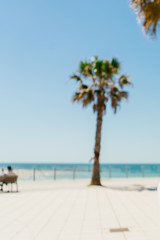 blurred lonely palm tree on the pavement near the ocean