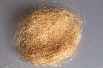 Ball of blond hairs on gray background