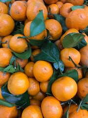 oranges in market