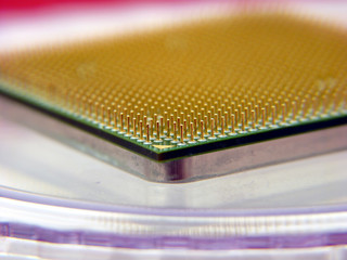 Computer processor pins macro close up