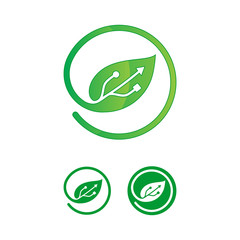 usb leaf logo vector template