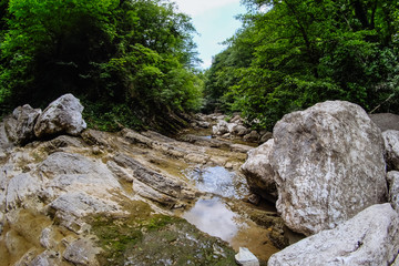 Mountain river and rocks in the forest